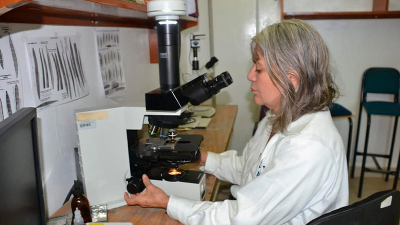 La UMSNH consigue recursos para 56 proyectos de investigación