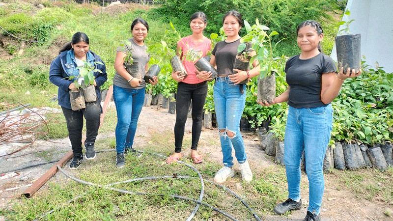 Con plantación de árboles, Cecytem Ostula se une al cuidado del medio ambiente 