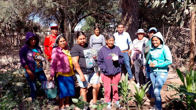 Impulsan huertos biointensivos para familias del centro de México 