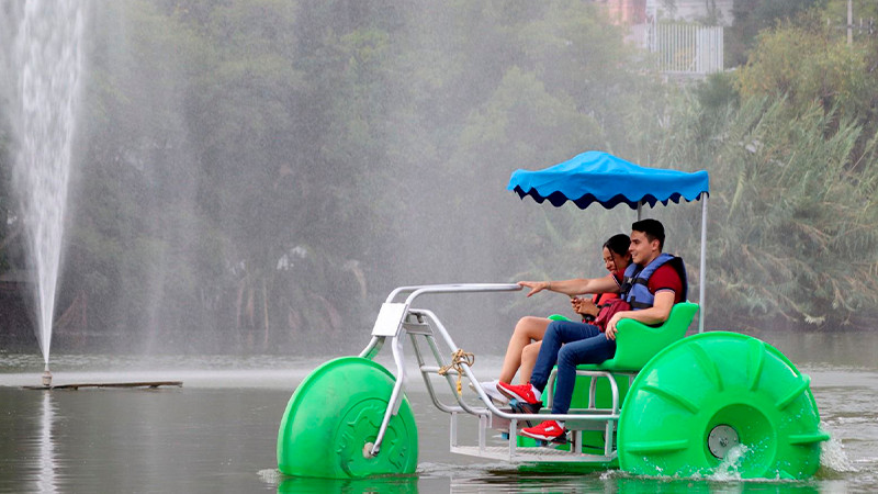 Aventúrate a navegar en el lago del ZooMorelia