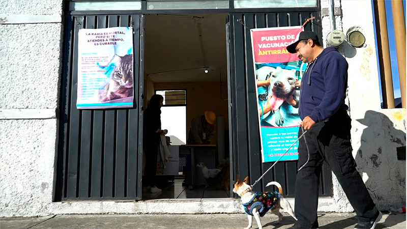 Permanente, vacunación antirrábica canina y felina en Morelia: Salud Michoacán  