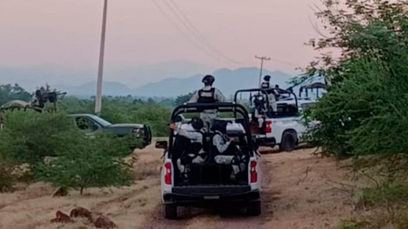 Firmes acciones operativas de las BOI'S de Tierra Caliente: SSP Michoacán 