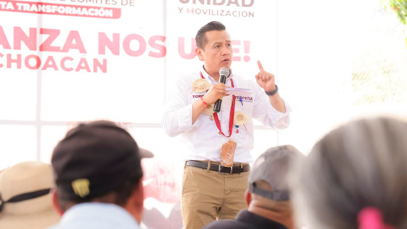 No podemos regresar a la crisis financiera que dejó Silvano: Torres Piña 
