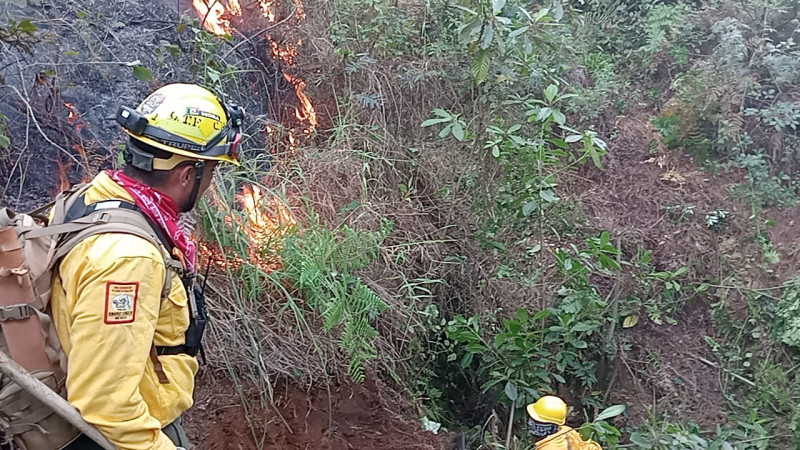 Brigadistas municipales de Uruapan sofocan incendio en el Cerro de la Cruz