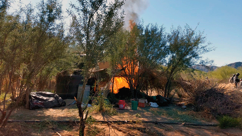 Militares destruyen plantío y campamento improvisado para secar droga en Sonora 