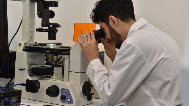 Nuevo impulso para la ciencia en la UMSNH; avalan 54 proyectos con inversión de 8.6 mdp 