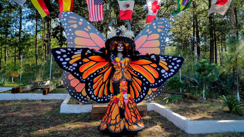 Abren santuarios de la Monarca; se esperan 500 mil visitantes