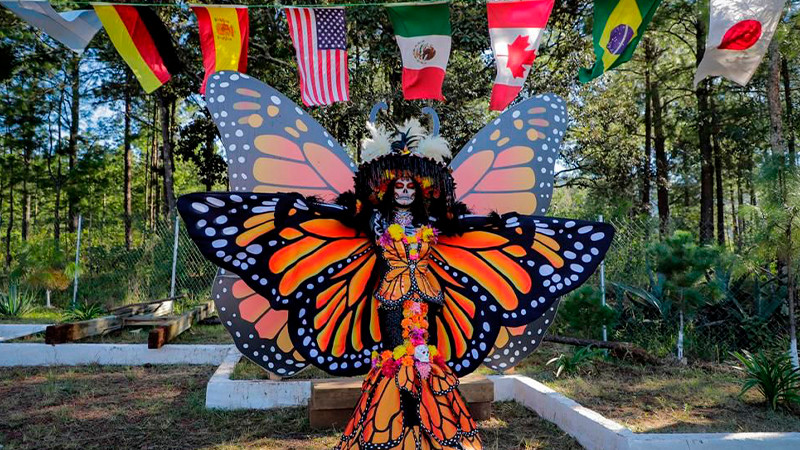 La Mariposa Monarca llega a tiempo a su cita en los bosques michoacanos