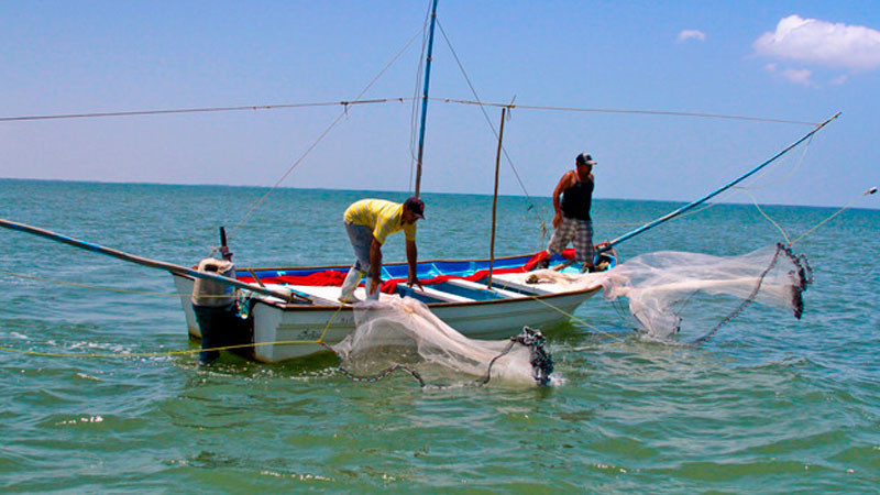 Frentes fríos causan pérdidas económicas en producción pesquera en Yucatán 