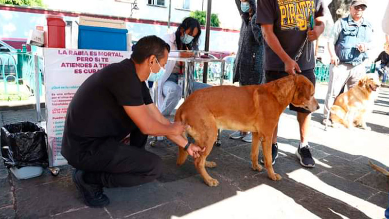 Arranca Salud Michoacán vacunación antirrábica en centro de salud de Morelia