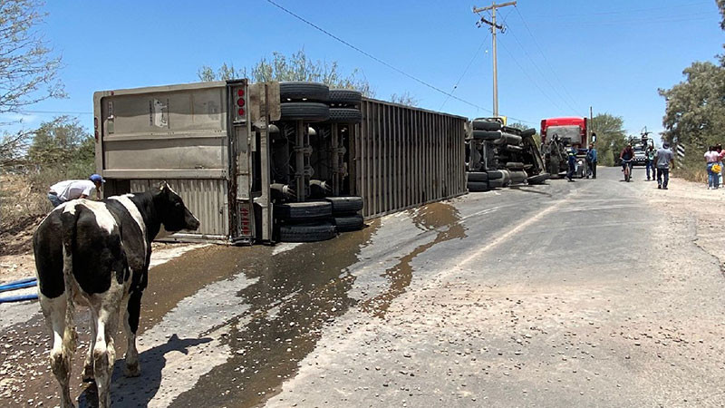 Roban reses tras volcadura de tráiler en autopista Veracruz-Puebla 