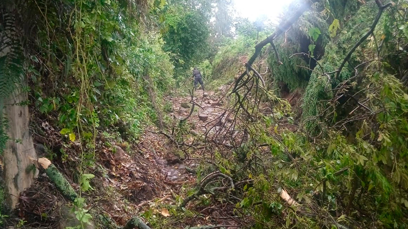 Bomberos de Zitácuaro continúan atendiendo reportes de incidentes tras estragos de fuerte tromba registrada ayer