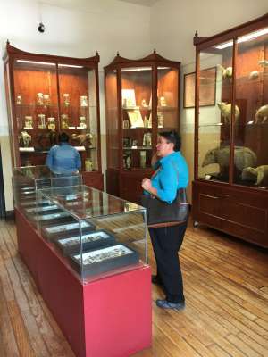 Museo de Historia Natural de Morelia recibirá visitantes en estas fiestas patrias - Foto 0 