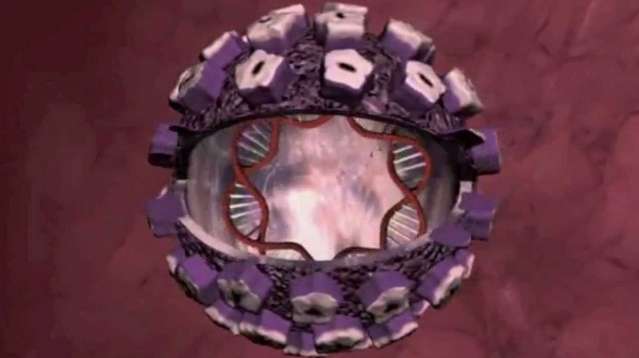 Portarían Virus del Papiloma Humano 660 millones de personas 