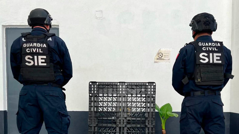 Vinculan a proceso a 2 hombres por tráfico de sustancias ilícitas, en Uruapan, Michoacán