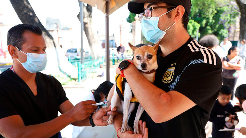 Salud Michoacán protege contra la rabia a casi 340 mil mascotas 