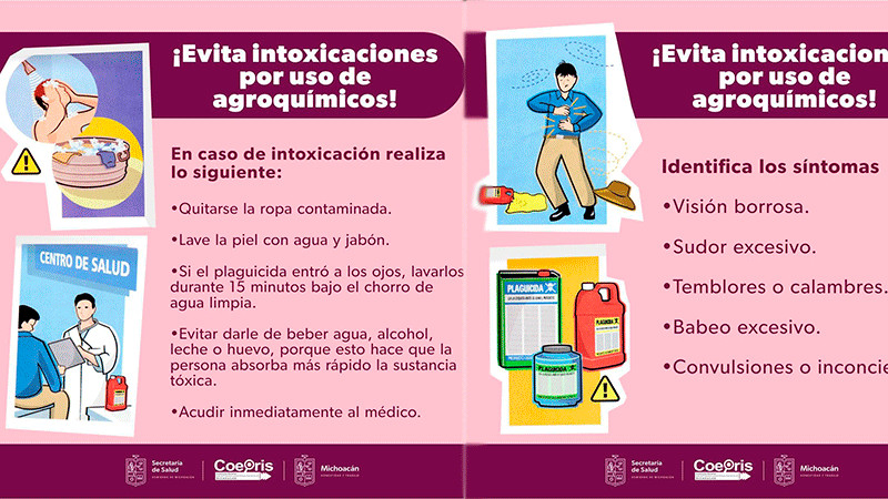 Evita intoxicaciones por uso de agroquímicos, sigue estas recomendaciones