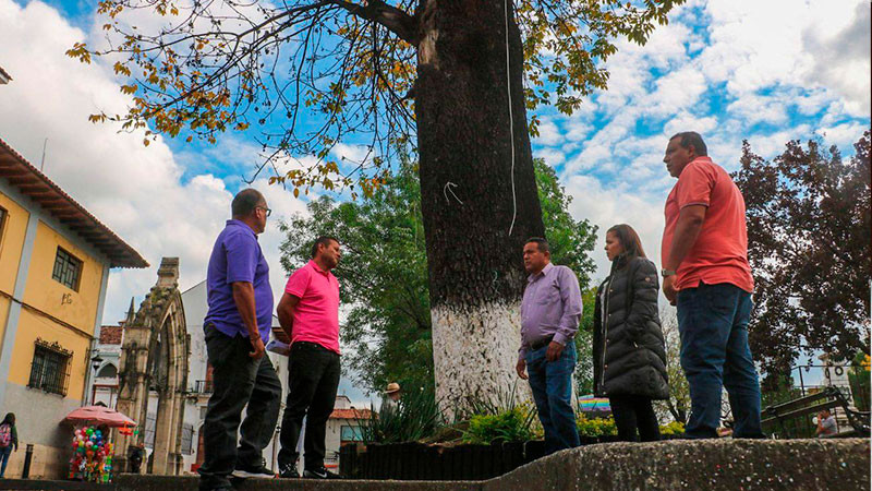 Gobierno de Uruapan intervendrá en el arbolado vulnerable del Centro Histórico