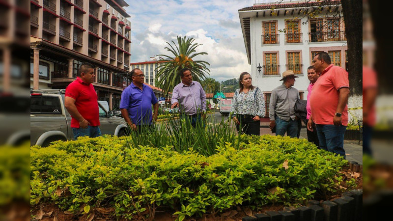 Gobierno de Uruapan intervendrá en el arbolado vulnerable del Centro Histórico