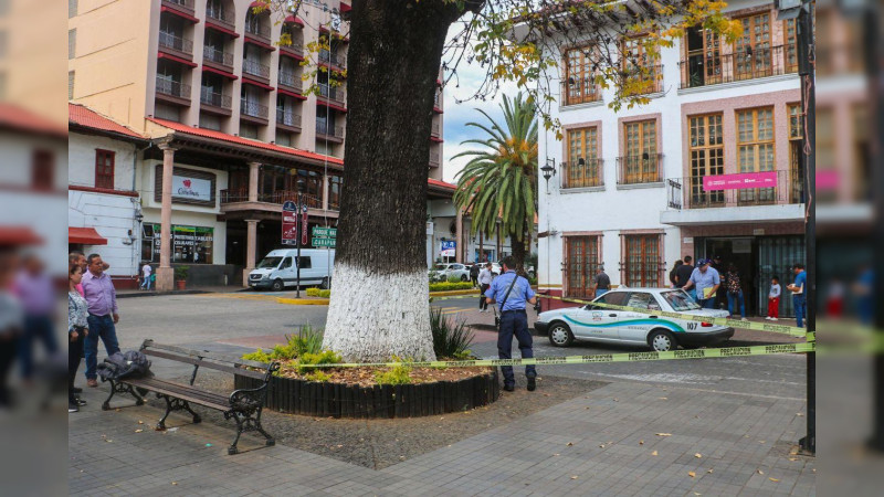 Gobierno de Uruapan intervendrá en el arbolado vulnerable del Centro Histórico