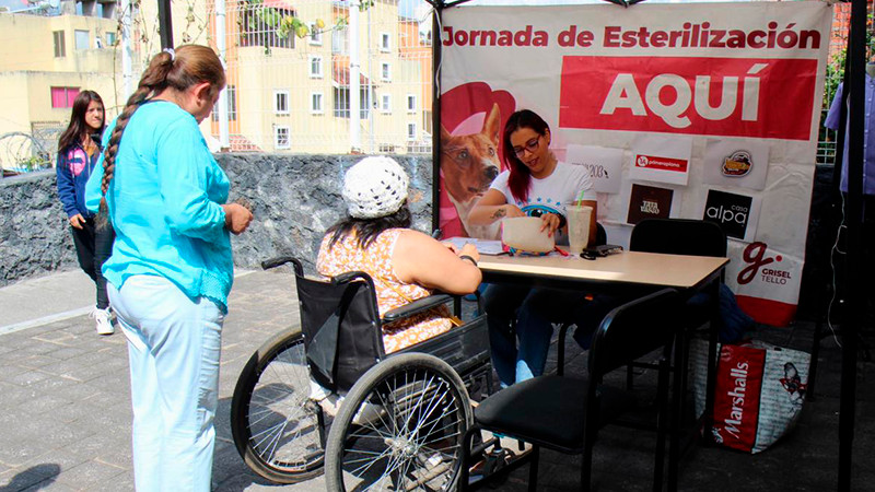 Icatmi Villas del Pedregal se suma a Jornada de Esterilización para mascotas que promueve Grisel Tello