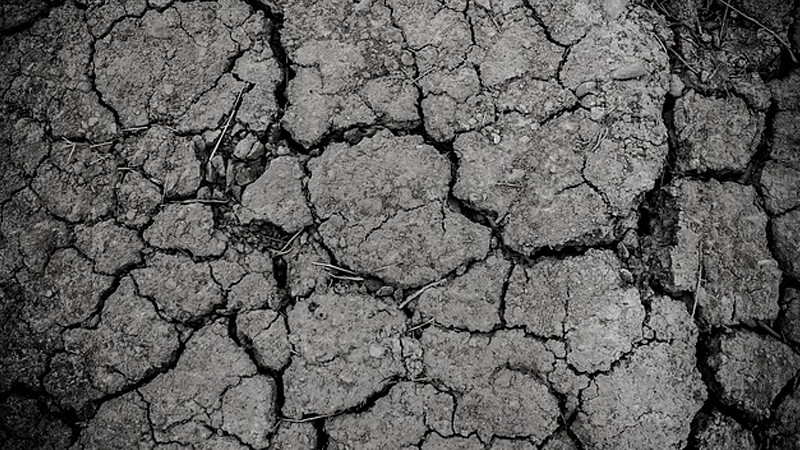 Advierten expertos que la sequía puede provocar una emergencia planetaria "sin precedentes" 