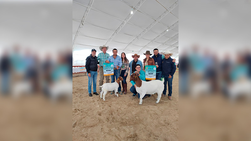 Jesús Navarrete, Campeón en la Raza Boer  