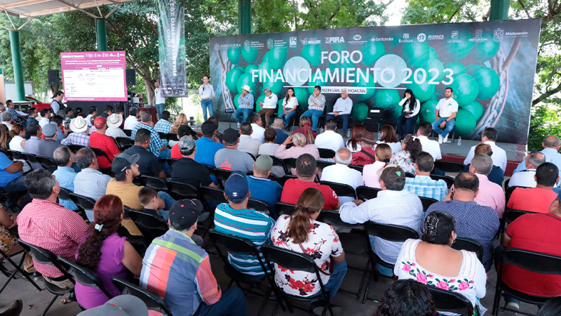Avanza Michoacán en implementación del Plan de Apoyo al Sector Citrícola