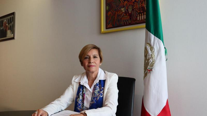 Blanca Piña, voz de los michoacanos en el Senado; su trabajo la avala 