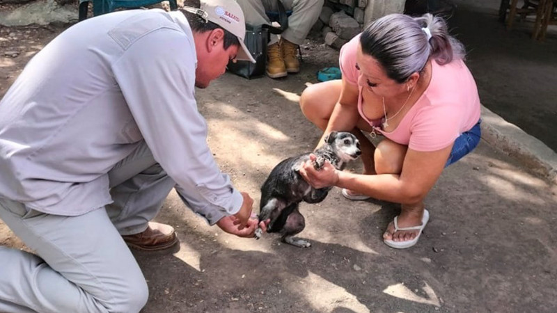 Refuerza Salud Michoacán vacunación antirrábica en Tierra Caliente