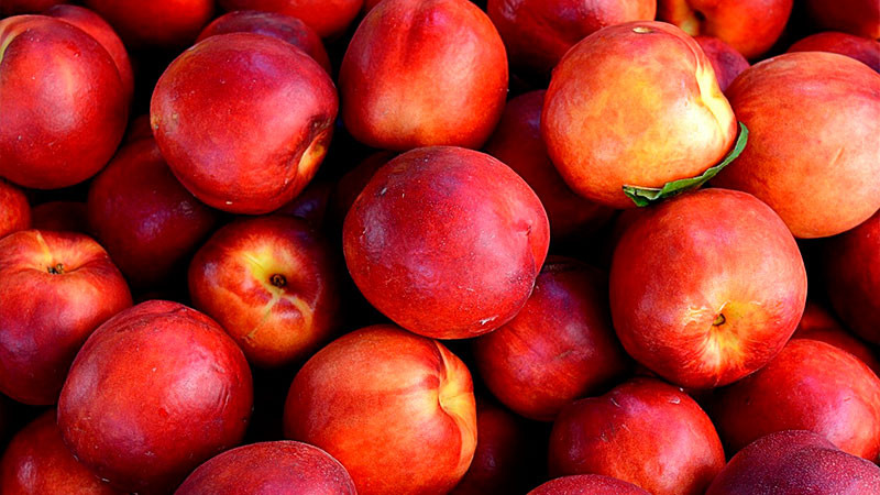 Cofepris alerta sobre contaminación en frutas provenientes de EU