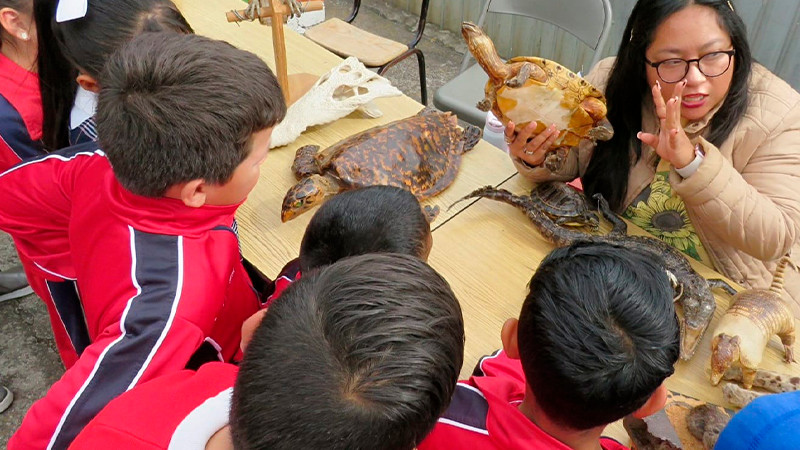 SEE acerca ciencia, arte, deportes y tecnología a las escuelas 