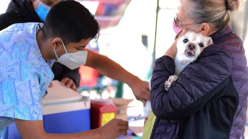 Este jueves, último día de vacunación antirrábica en Morelia