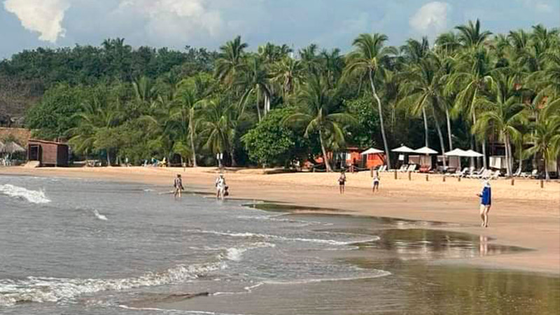 Turista canadiense pierde la vida por ataque de cocodrilo en Playa Quieta en Zihuatanejo, Guerrero  