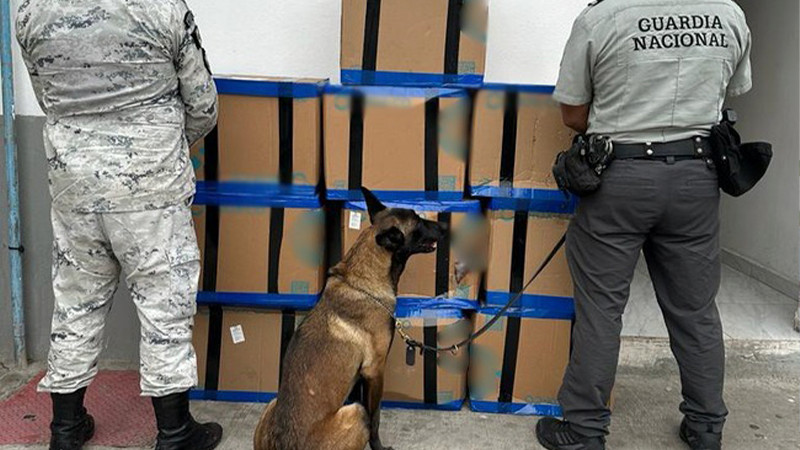 Binomios caninos de la Guardia Nacional interceptan más de 112 Kg de aparente droga en SLP  