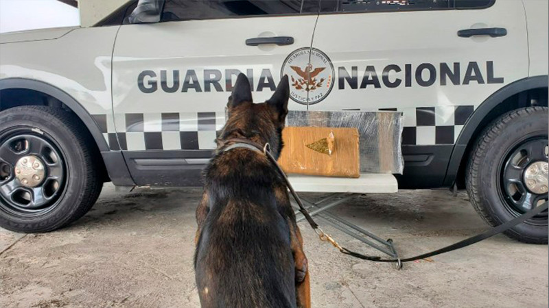 Binomios de la Guardia Nacional encuentran 350 cigarros de droga y una caja de droga sintética en Culiacán, Sinaloa 