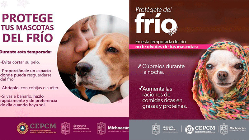 Emite Protección Civil recomendaciones para proteger a mascotas del frío 