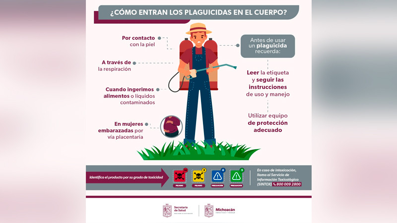 Regula SSM a comercializadoras de plaguicidas para evitar riesgos 