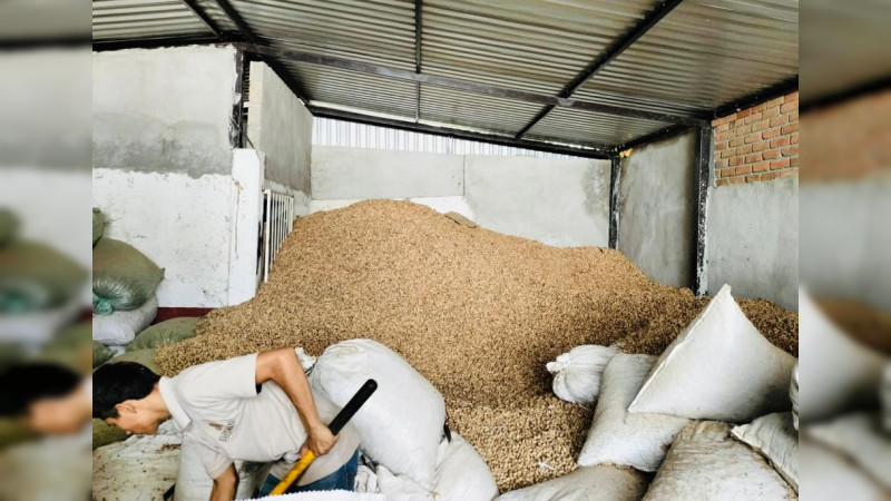 Michoacán destaca en 6 de 10 productos agrícolas más consumidos esta temporada