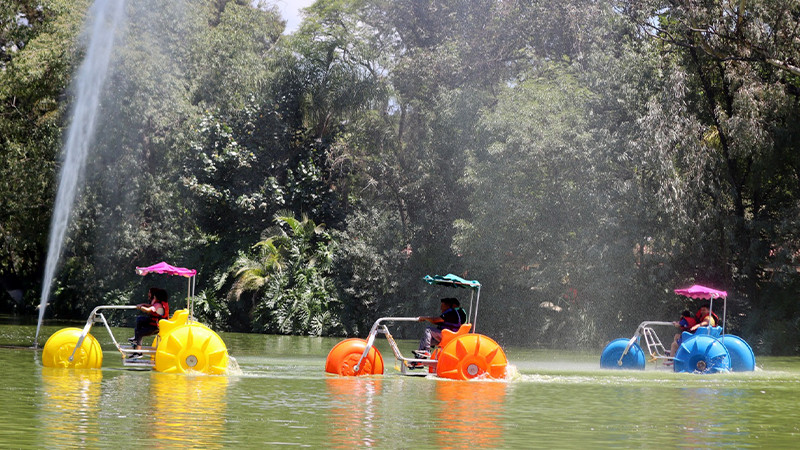 Zoo de Morelia amplía su horario en vacaciones decembrinas