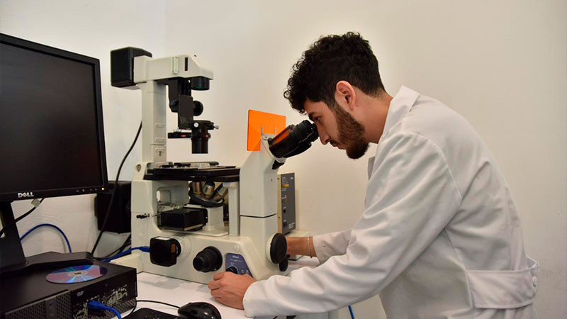 UMSNH es un modelo nacional en investigación; recibe reconocimiento de “Laboratorio Nacional CONAHCYT de Bioseguridad Agroalimentaria”. 