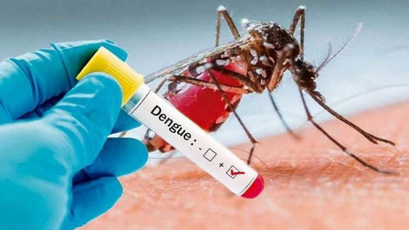 OMS advierte alto riesgo de expansión global del dengue; van 5 mil muertes en el 2023 