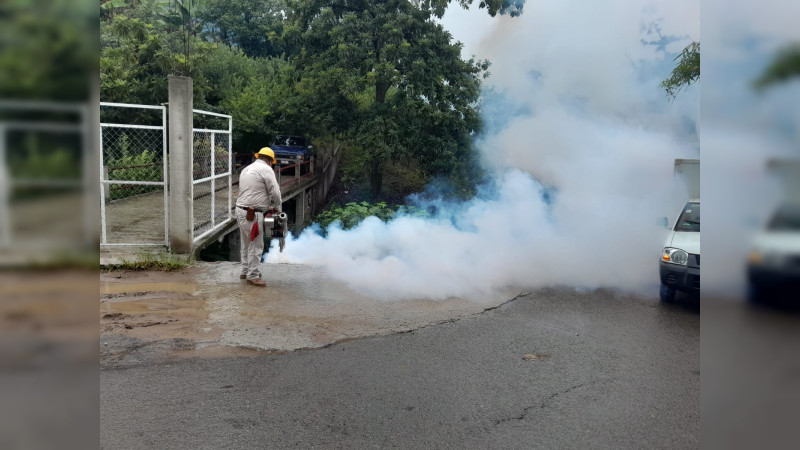 Michoacán cierra 2023 por debajo de la media nacional en casos de dengue