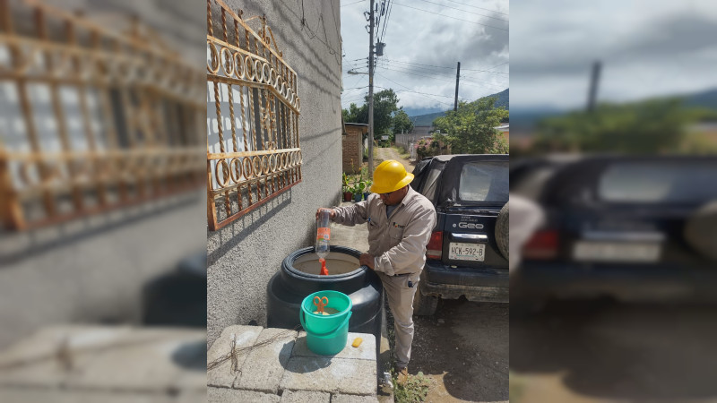 Michoacán cierra 2023 por debajo de la media nacional en casos de dengue