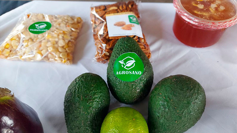 En transición agroecológica 78 mil hectáreas de cultivos: Sader