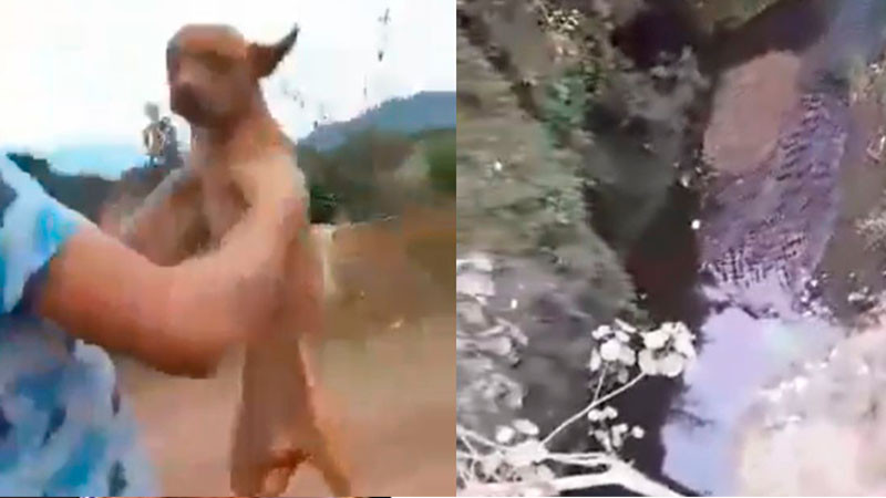 En Peribán, Michoacán, joven lanzan a perrito desde un puente 