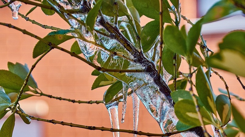 Se registraron temperaturas heladas en gran parte de México 
