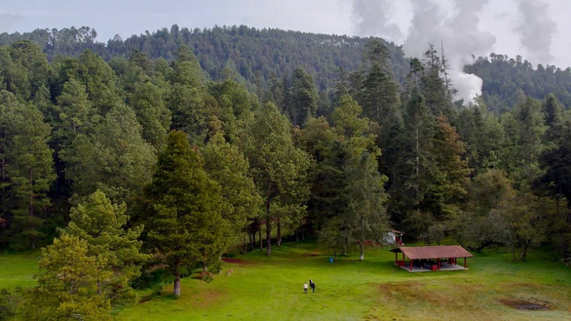 Recibe el Año Nuevo desde los bosques michoacanos, en Los Azufres 