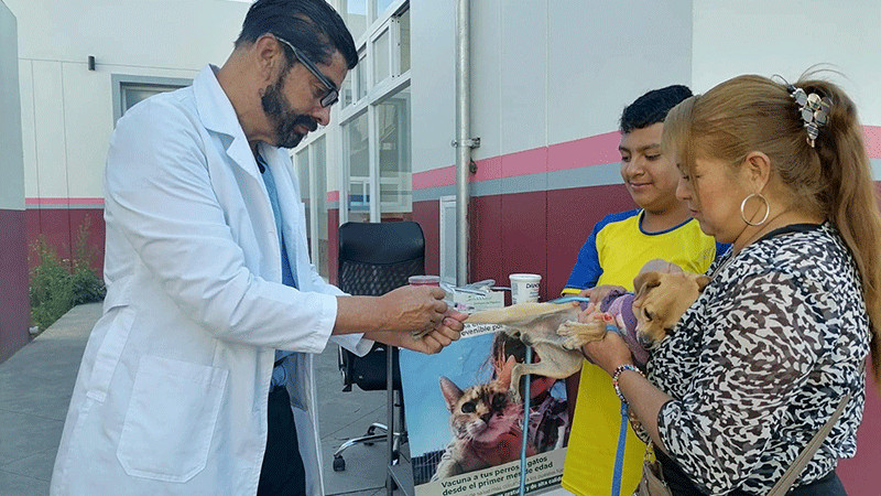 SSM vacunó contra la rabia a más de 391 mil mascotas 