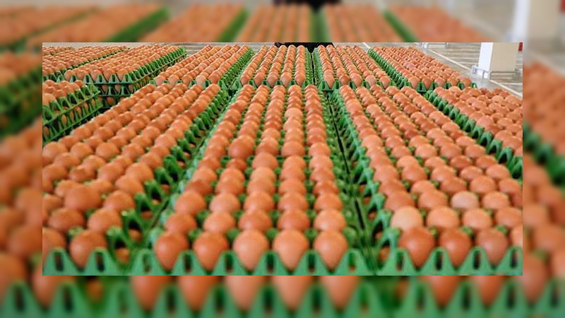 Falsos policías roban tráiler con 17 toneladas de huevo, en Durango 